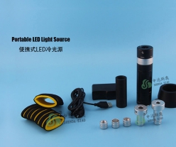 Portable LED Light Source