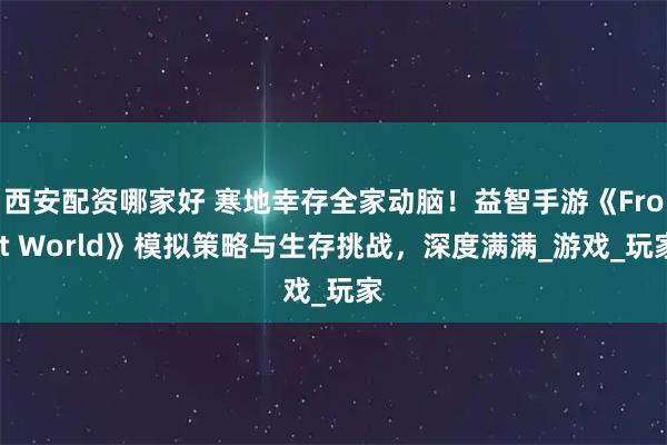 西安配资哪家好 寒地幸存全家动脑！益智手游《Frost World》模拟策略与生存挑战，深度满满_游戏_玩家